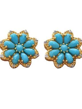 Bohemian Western Natural Turquoise Earrings